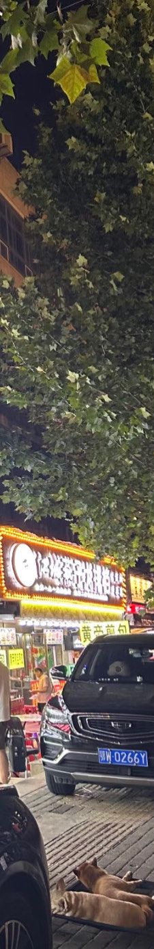 -江城燕子大排档(江汉路步行街店)