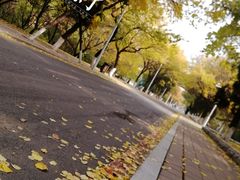 -吉林大学(南岭校区)