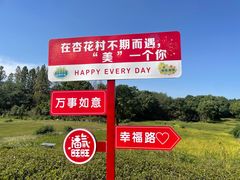-杏花村文化旅游区