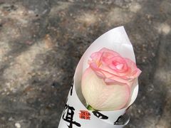 -饵块食光·云南有机手作饵块