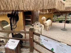 -珠海海泉湾神秘岛亲子乐园