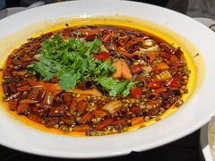 精品毛血旺-陈麻婆豆腐(旗舰店)