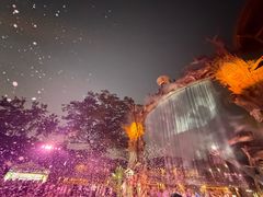 -海南槟榔谷黎苗文化旅游区
