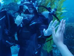 -芜湖新华联大白鲸海洋公园