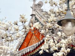 -北京艺术博物馆(万寿寺)
