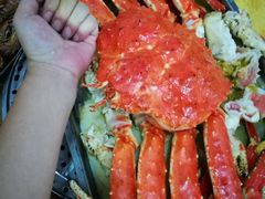 -蚝专家(北滘店)