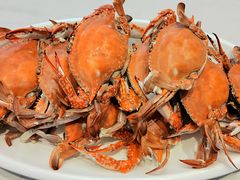 -紫丁香饭店-中餐厅