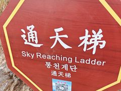 -塔云山