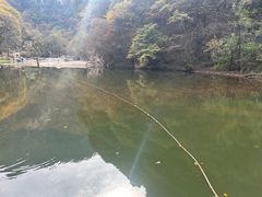 -少华山国家森林公园