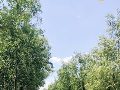 -东郊湿地公园
