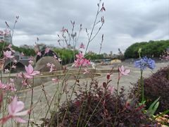 -美再晨游泳馆(新江湾店)