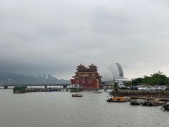 -野狸岛