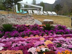 -百里山水画廊乌龙峡谷