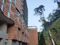 -香港大学