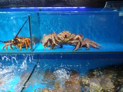 水产区-盒马鲜生(馥邦国际店)