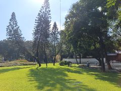 -荔湾湖公园