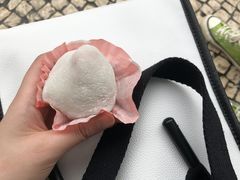 -澳门长洲糯米糍(柯打苏沙街店)