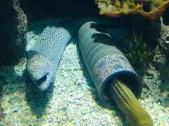 -多彩贵州城极地海洋世界