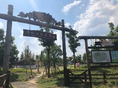 -田园东方蜜桃村的田野营地