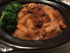 -皇朝会.经典传统粤菜(外滩店)