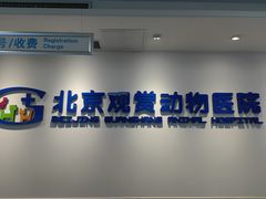 -北京观赏动物医院·24小时大型综合·猫专科·异宠专科