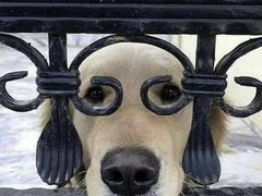 -麦当劳(北苑秋实路店)