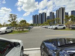 -光明小镇欢乐田园