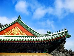 -颐和园