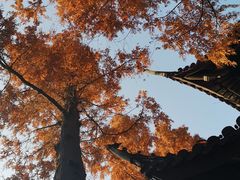 -汇龙潭