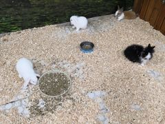 -上海大自然野生昆虫馆(东方明珠·爬宠昆虫探索中心)