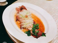 东星斑清蒸-8餐厅(新葡京酒店)