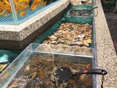 -初色海鲜自助(万丰路店)