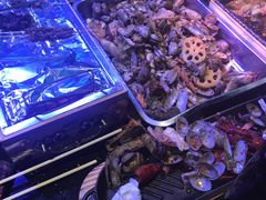 -冰城小镇音乐串吧·聚会餐厅(百子湾店)