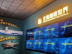 -北海海底世界