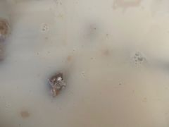 黄豆排骨-梅飞酒家(桑园路店)
