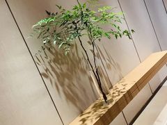 -上海佘山世茂艾美酒店