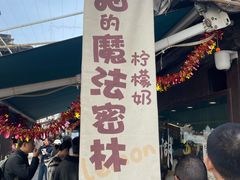 -猫的魔法密林(衣裳街店)