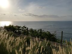 -Rock Bar Bali(Bali)