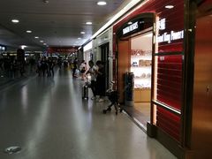 -上海浦东国际机场-T2航站楼