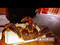 -蟹将军·松叶蟹和牛日料放题自助(K11店)
