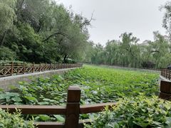 -迎泽公园
