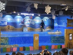 -顺德南宏海立方海洋公园