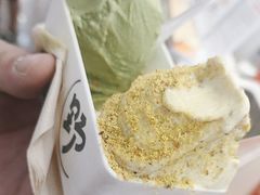-野人先生现做冰淇淋(西安赛格店)