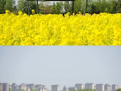 -汉长安城未央宫国家考古遗址公园