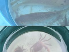 -重庆彩云湖湿地公园