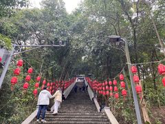 -老君山
