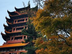 -黄鹤楼公园(黄鹤楼)