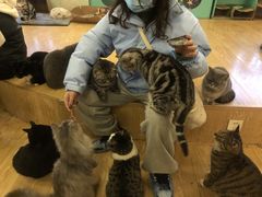 -萌喵咖啡屋(人民东路4号口M16商铺店)