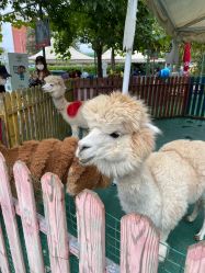 -萌宠亲子动物乐园(槐房万达店)