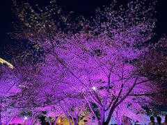 -西北湖绿化广场